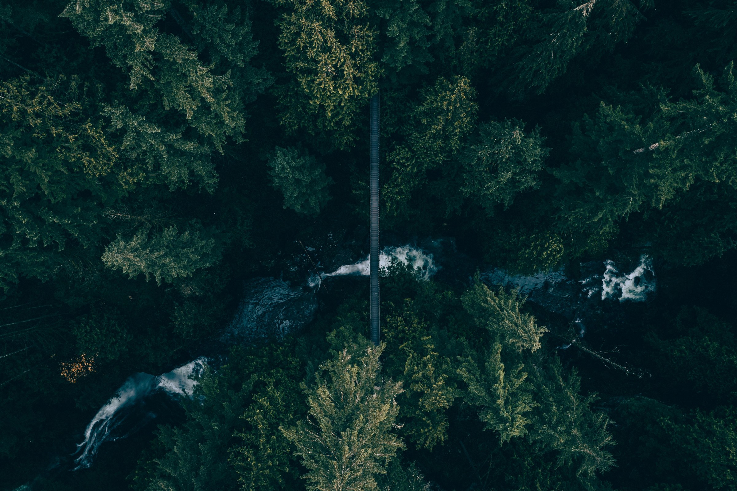 Lynn Canyon, North Vancouver, British Columbia